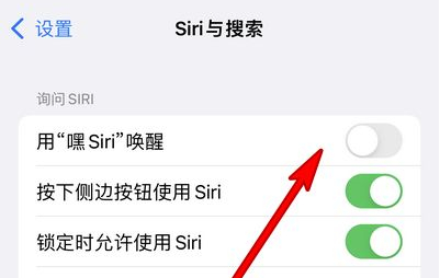 镇平苹果13维修分享iPhone 13怎么唤醒 Siri  
