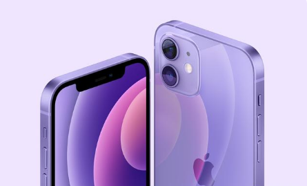 镇平苹果手机维修分享紫色版iPhone 12有什么技术亮点 