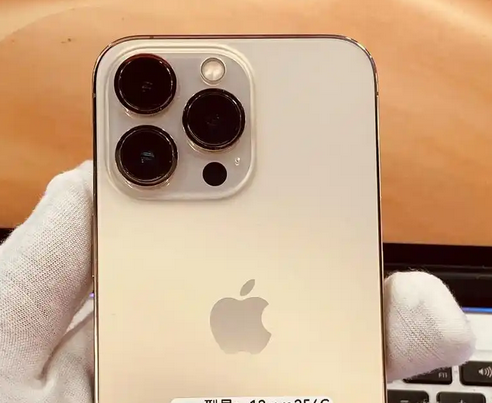 镇平苹果13维修中心分享如何在iPhone13上设置动态壁纸